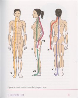 Gua Sha Viso — Libro - 4