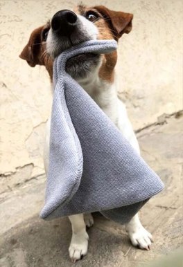 Guanto Igienizzante Anti-Batterico per Cani e Gatti - 5