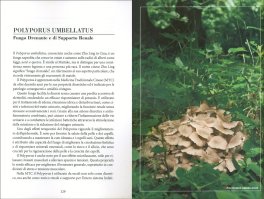 Guarire con i 21 Funghi Medicinali — Libro - 3