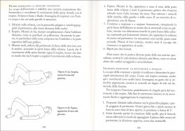 Guarire dal Mal di Testa — Libro - 3