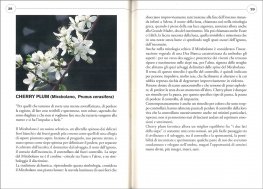 Guarisci Te Stesso con i Fiori di Bach — Libro - 3