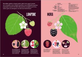 Gufo o Civetta? — Libro - 3