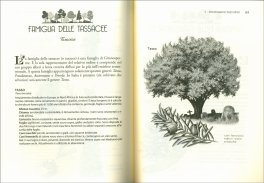 Guida agli Alberi — Libro - 3