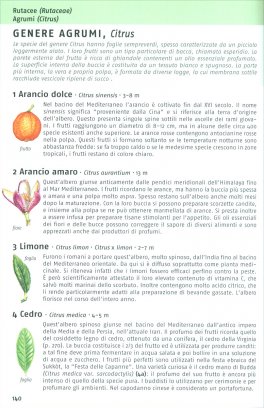 Guida agli Alberi d'Europa — Libro - 3