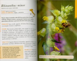 Guida ai Fiori Spontanei — Libro - 3