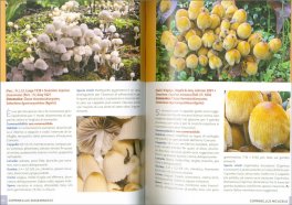 Guida ai Funghi d' Europa — Libro - 3