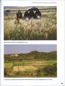 Guida al Miglioramento Genetico Evolutivo per Agricoltori — Libro - 4