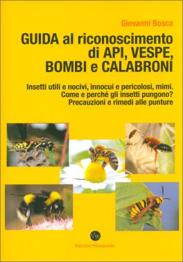 Guida al Riconoscimento di Api, Vespe, Bombi e Calabroni — Libro - 1
