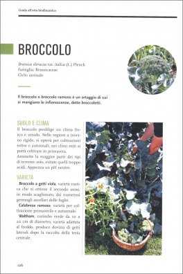 Guida all'Orto Biodinamico — Libro - 3