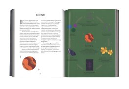 Guida alla Astrology Magick — Libro - 3