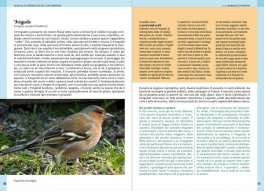 Guida alle Meraviglie del tuo Giardino — Libro - 5