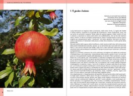 Guida alle Meraviglie del tuo Giardino — Libro - 4