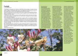 Guida alle Meraviglie del tuo Giardino — Libro - 7