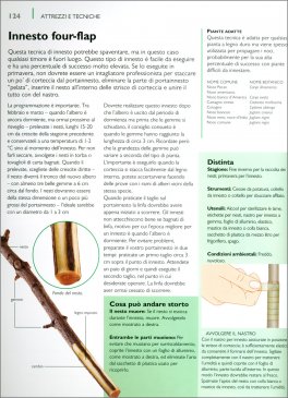Guida Completa a Innesti, Talee e ad Altri Modi di Propagazione — Libro - 3