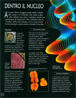 Guida Completa al Microscopio — Libro - 5
