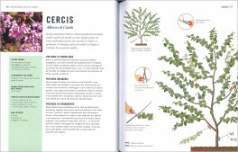 Guida Completa alla Potatura delle Piante — Libro - 3