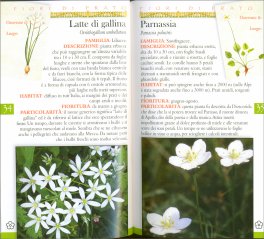 Guida Fotografica - Fiori di Prato — Libro - 3