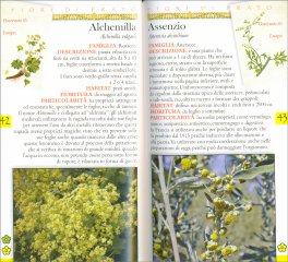Guida Fotografica - Fiori di Prato — Libro - 2
