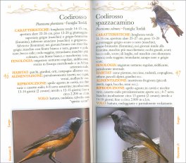 Guida Fotografica - Uccelli delle Nostre Montagne — Libro - 2