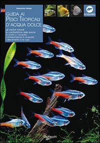 Guida ai Pesci Tropicali d'Acqua Dolce