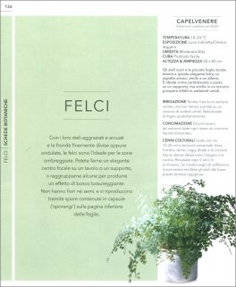 Guida Pratica alle Piante da Interno — Libro - 4
