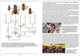 Guida Pratica di Apicoltura — Libro - 3