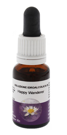 Happy Wanderer - Fiori australiani - 1