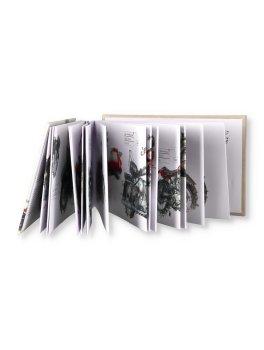 Harley Davidson 120 Anni — Libro - 3