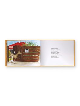 Harry Arruffato — Libro - 3