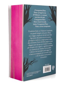 Harry Potter e i Doni della Morte — Libro - 2