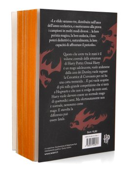 Harry Potter e il Calice di Fuoco — Libro - 5