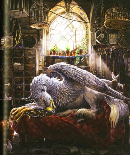 Harry Potter e il Prigioniero di Azkaban — Libro - 3
