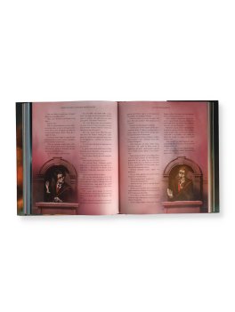 Harry Potter e il Principe Mezzosangue — Libro - 2
