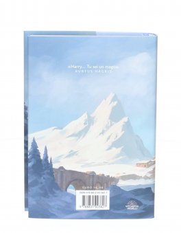 Harry Potter e la Pietra Filosofale — Libro - 2