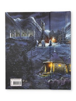 Harry Potter - Hogwarts - Il Libro Pop-Up — Libro - 4