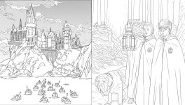 Harry Potter - Magie al Buio — Libro - 3
