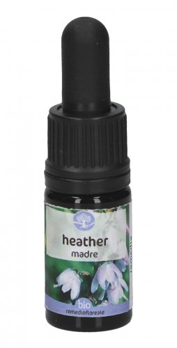 Heather - Soluzione Madre - 1