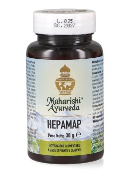 Hepamap - 1