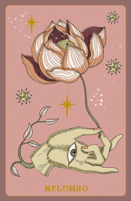 Herbarium - Oracle Cards - 3