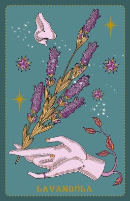 Herbarium - Oracle Cards - 6