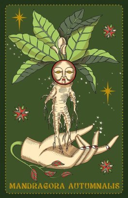 Herbarium - Oracle Cards - 8