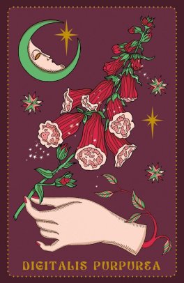 Herbarium - Oracle Cards - 9