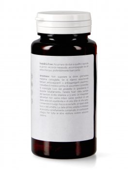 Hericium Gut - 3