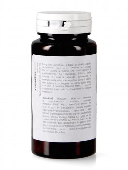 Hericium Gut - 4