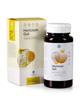 Hericium Gut - 2