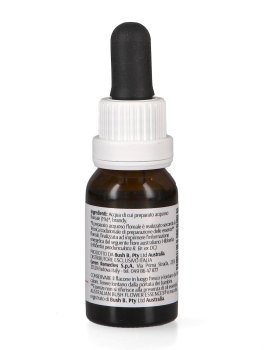 Hibbertia - Essenza Floreale Australiana Singola - 3