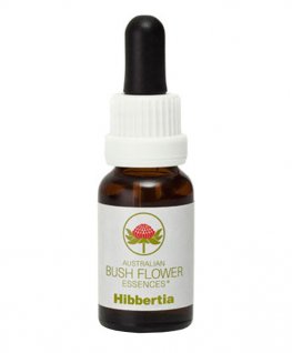 Hibbertia - Essenza Floreale Australiana Singola - 1