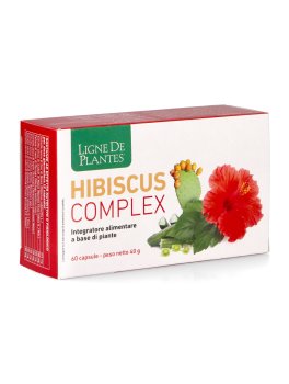 Hibiscus Complex - 2
