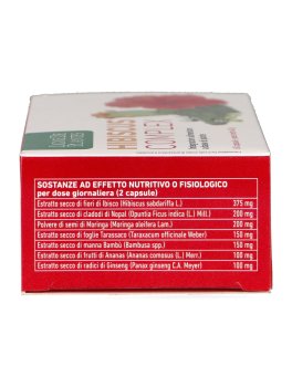 Hibiscus Complex - 5