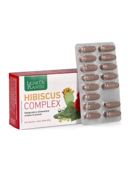 Hibiscus Complex - 1